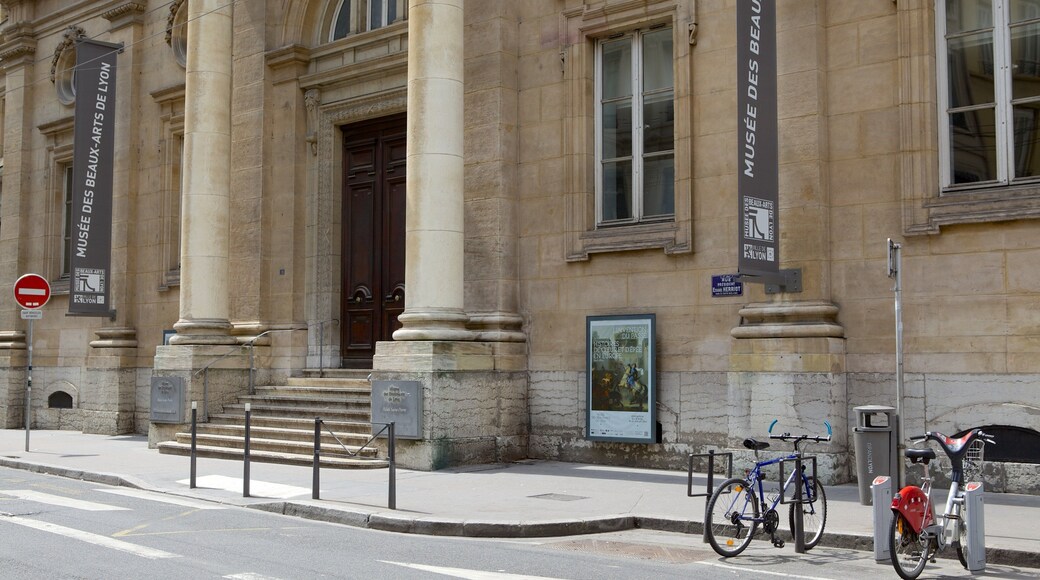 Lyon Museum of Fine Arts featuring heritage architecture and street scenes