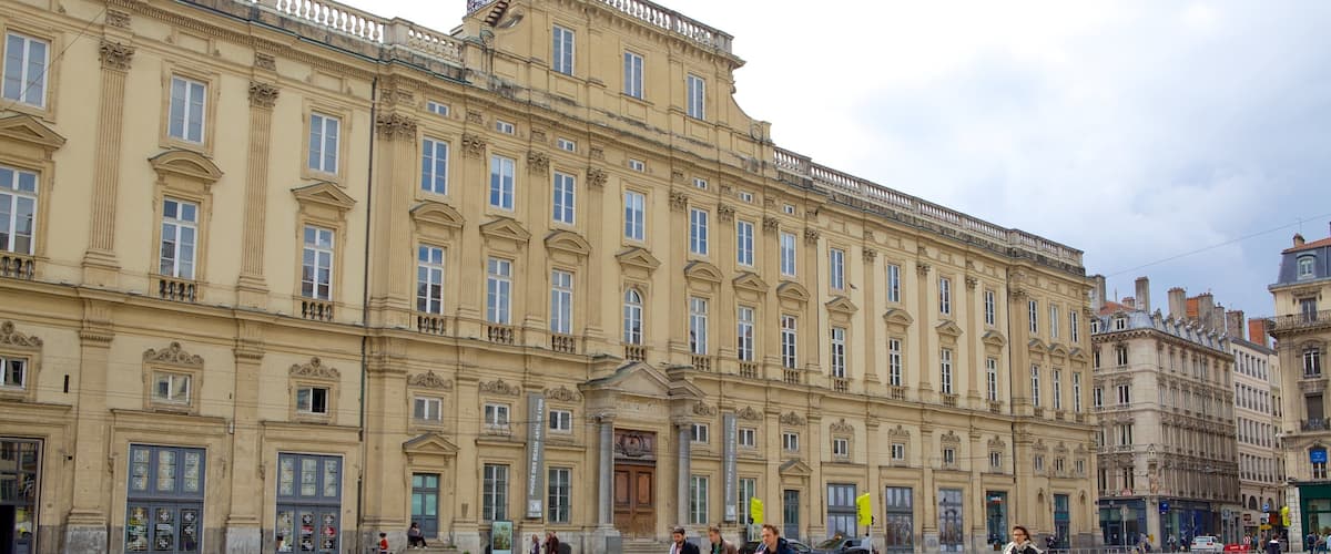 Musée des Beaux-Arts de Lyon