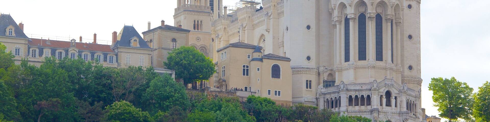 A historic cathedral with twin spires and statues, surrounded by lush greenery.