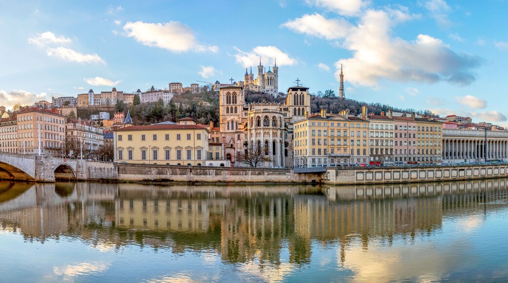 Metrópole de Lyon