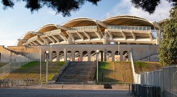Stade Gerland
