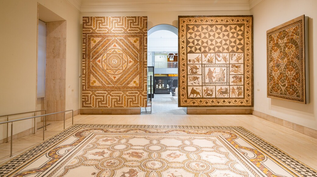 National Archaeological Museum of Spain showing interior views and art