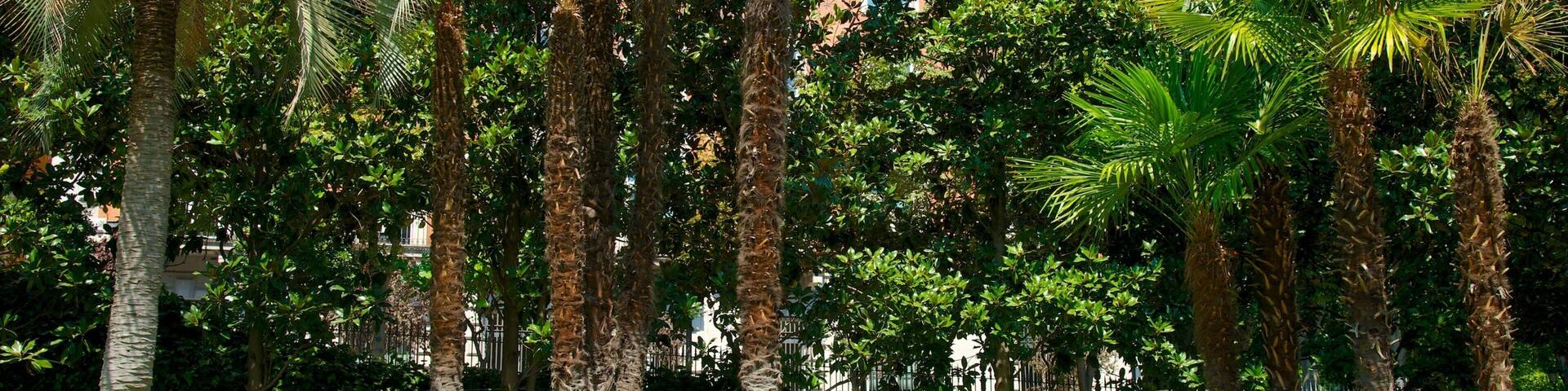 Thyssen-Bornemisza Museum featuring a garden