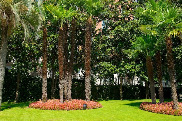 Thyssen-Bornemisza Museum som viser en have