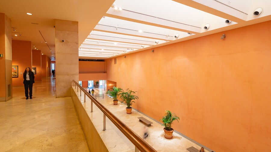 Thyssen-Bornemisza Museum showing interior views