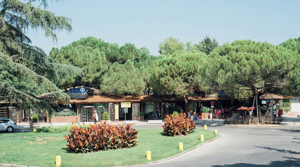 Zoo Aquarium de Madrid