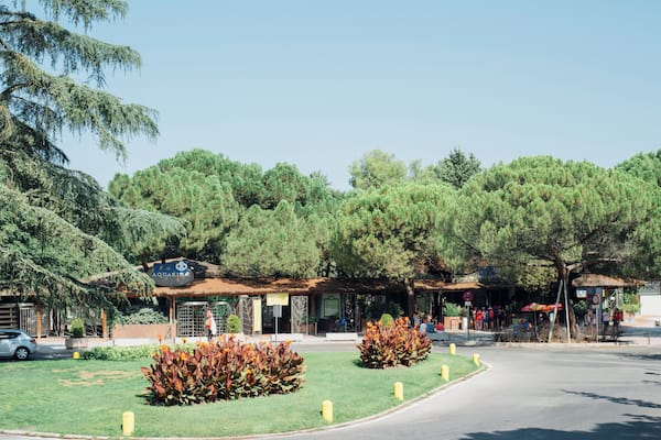 Madrid_MadridZooAquarium_501640-3