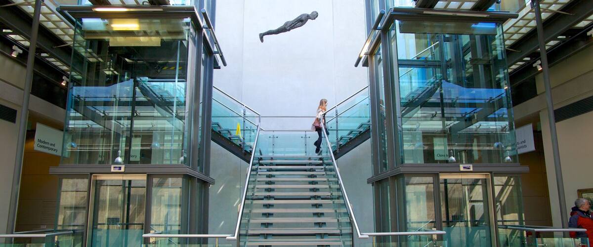 ๋งจ์ฒด์คํฐ ๋ฏธ์ ๊ด ์ ํน์ง ์์ ๊ณผ ์ค๋ด ์ ๊ฒฝ ๋ฟ๋ง ์๋๋ผ ์ฌ์