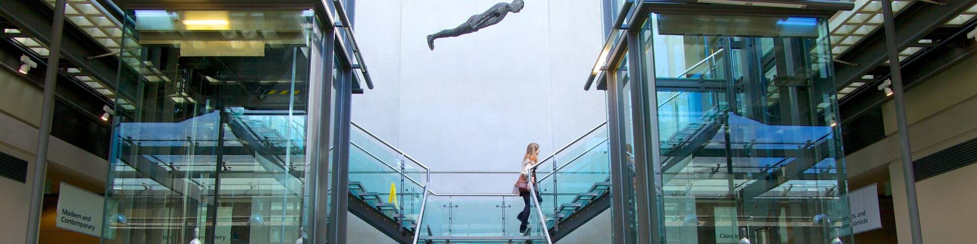 Manchester Art Gallery showing interior views and art as well as an individual femail