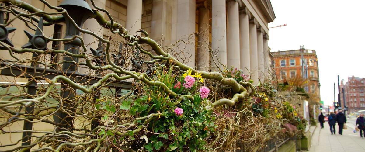 Manchester Art Gallery som visar blommor, en stad och konst
