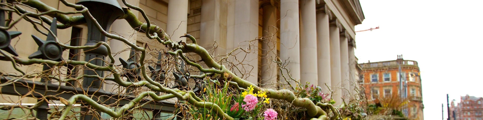 Manchester Art Gallery mostrando uma cidade, flores e cenas de rua