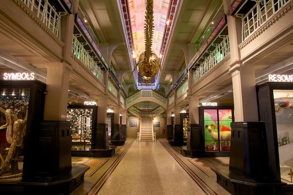 Manchester Museum showing interior views