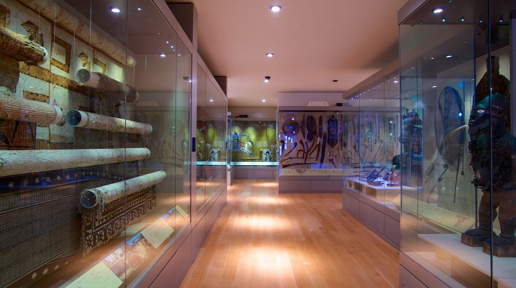 Manchester Museum ofreciendo vistas interiores y arte