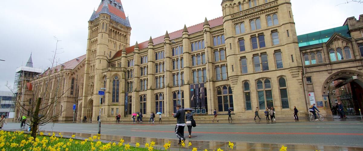 Manchester Museum mostrando escenas urbanas, patrimonio de arquitectura y una ciudad