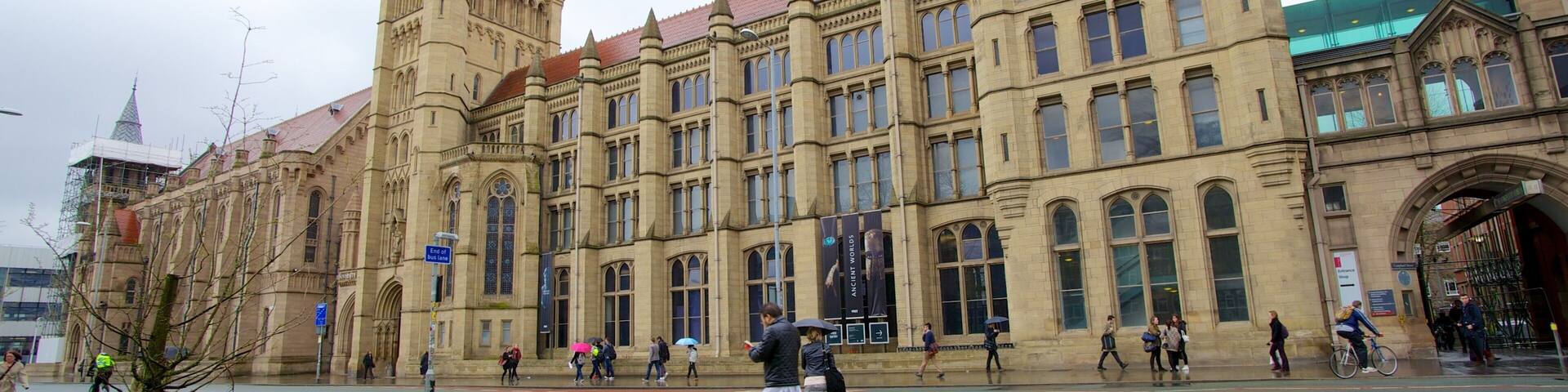 Manchester Museum which includes street scenes, heritage architecture and a city
