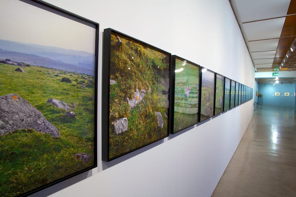 Una galeria amb grans quadres de paisatges a la paret.
