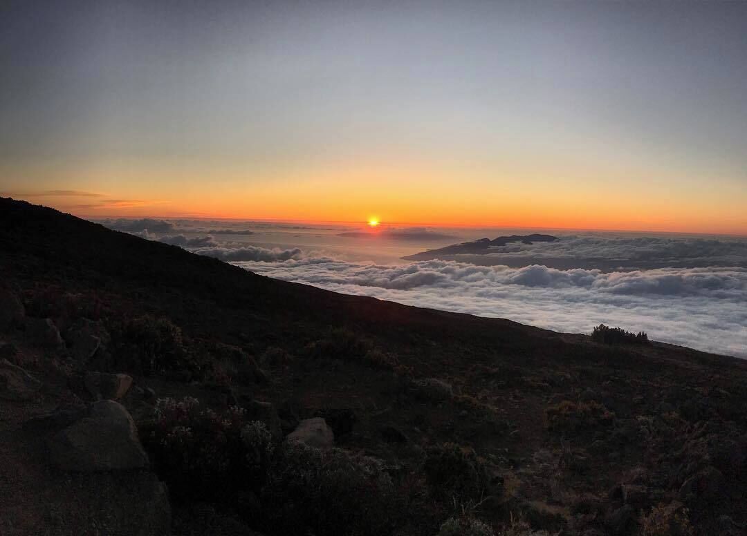 sunset at the lookout above the clouds. Approximately 9000 ft up :)