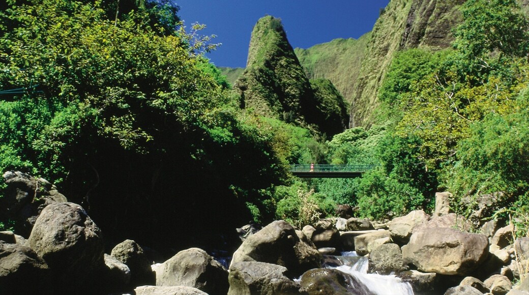 Iao Valley State Park which includes a bridge, forests and a river or creek