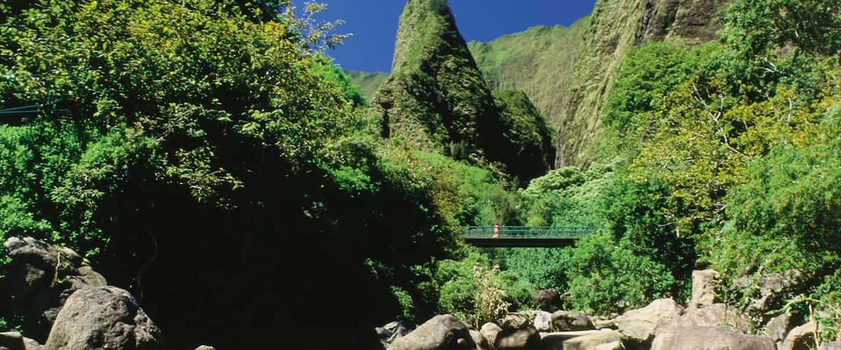 Iao Valley State Park which includes a bridge, forests and a river or creek