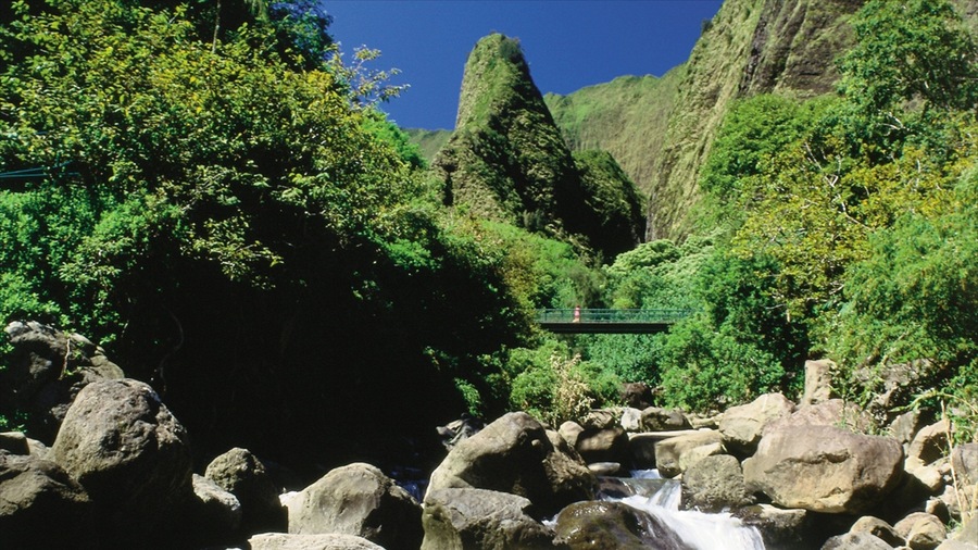 Iao Valley State Park which includes a bridge, forests and a river or creek