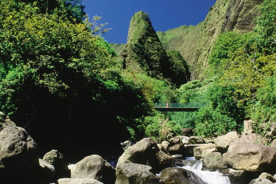 Ein Wasserfall, Felsen, viel Grün und eine Brücke in einem bewaldeten Gebiet.