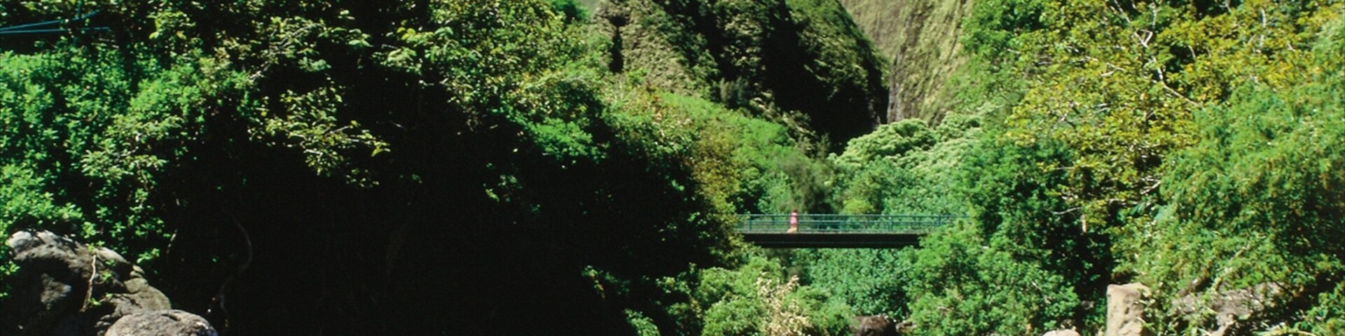 Iao Valley State Park which includes a bridge, forests and a river or creek
