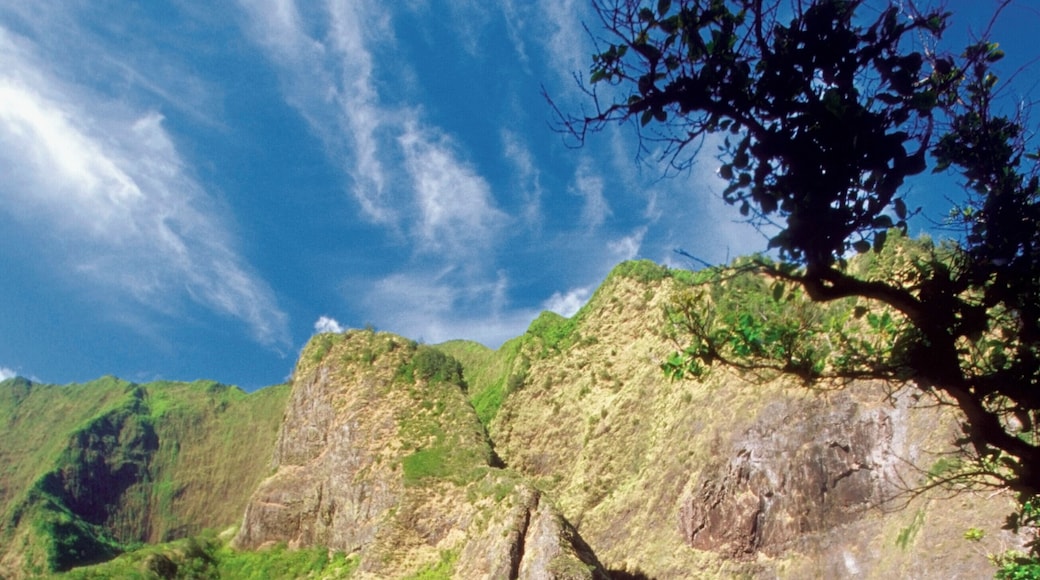 이아오 밸리 주립공원