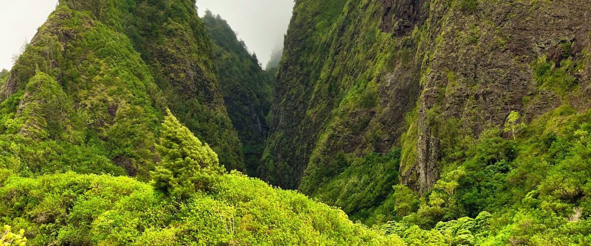 Wettest place in Hawaii.