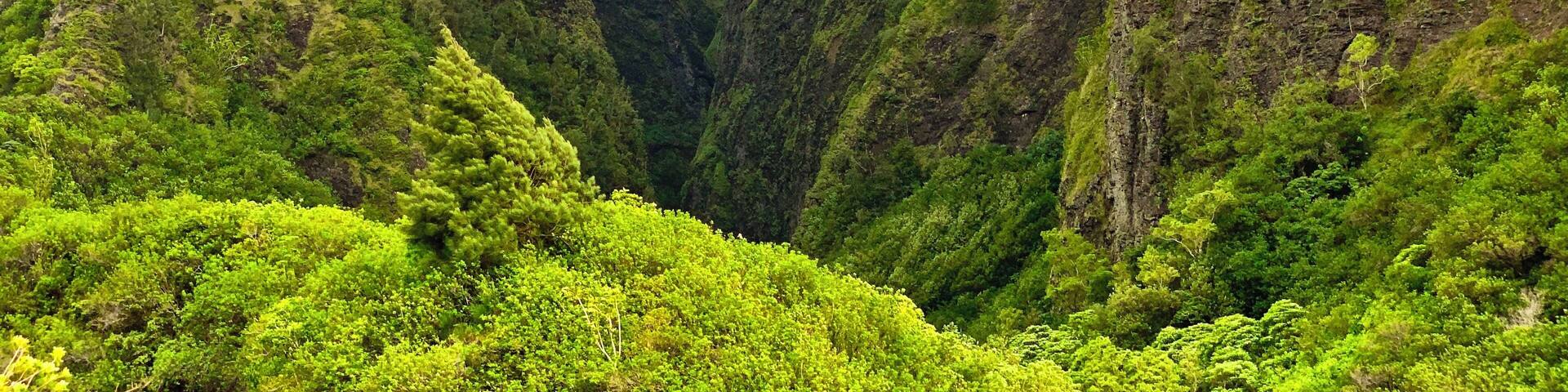 A lush green valley with steep, forested cliffs.