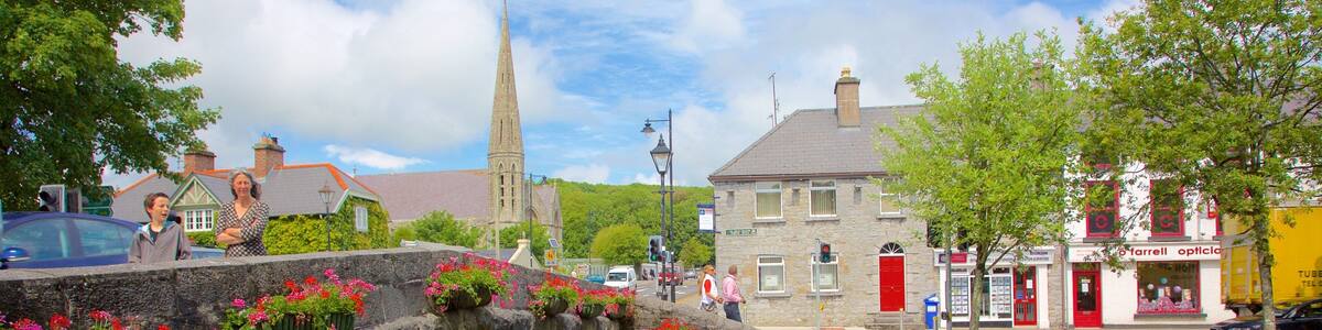 Westport showing a bridge, heritage elements and flowers