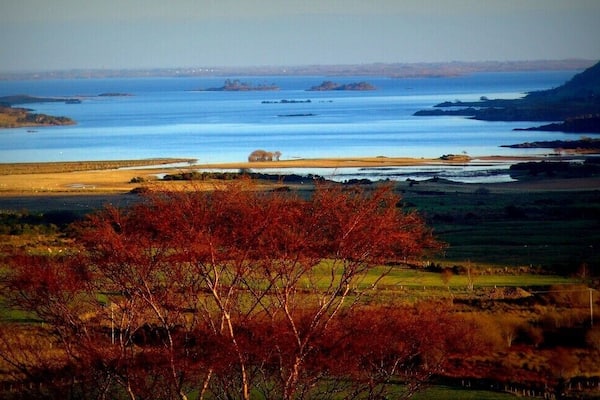 Eine Küstenlandschaft mit einer großen Wasserfläche, einem Baum im Vordergrund und weiter entfernten Landformen.
