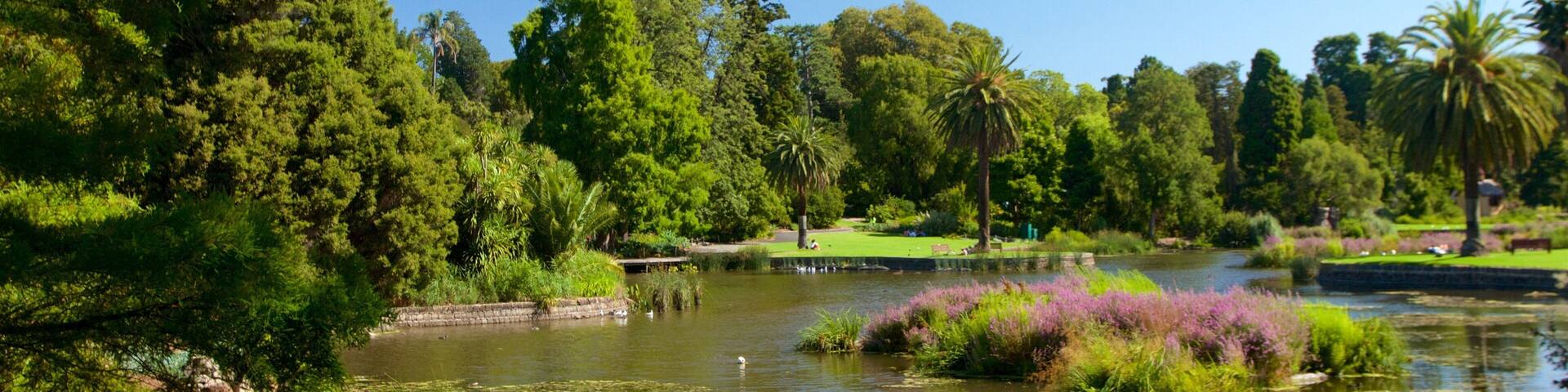 Royal Botanic Gardens featuring a lake or waterhole and a park
