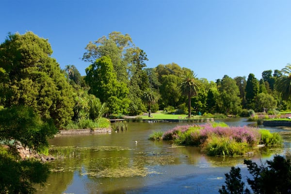 Royal Botanic Gardens montrant jardin et lac ou étang