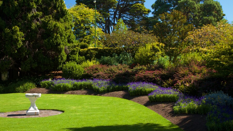 Botanisk Have og byder på en have