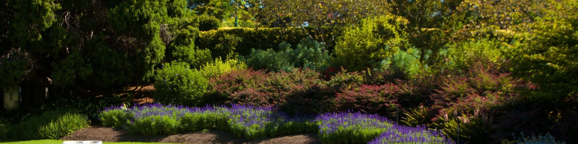 Royal Botanic Gardens ofreciendo un parque