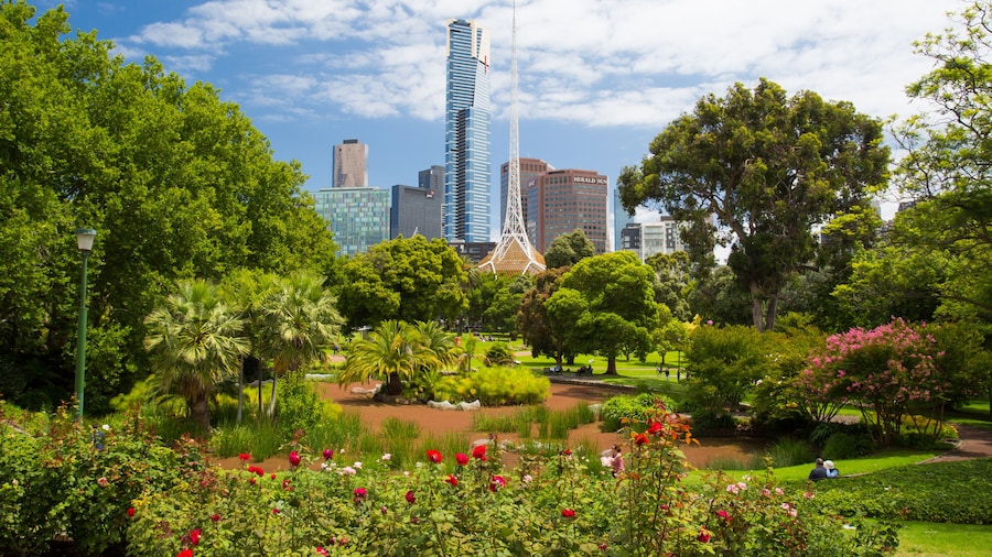 Melbourne Skyline Thru Queen Victoria Gardens