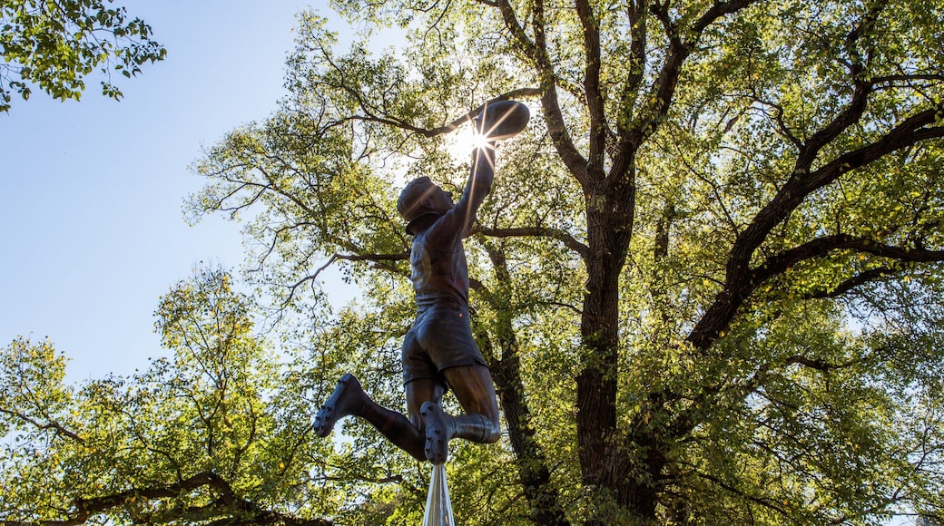 Melbourne Cricket Ground showing a statue or sculpture and a sunset