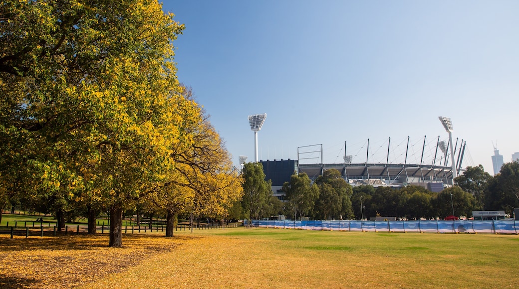 Melbourne Cricket Ground which includes fall colors and a garden