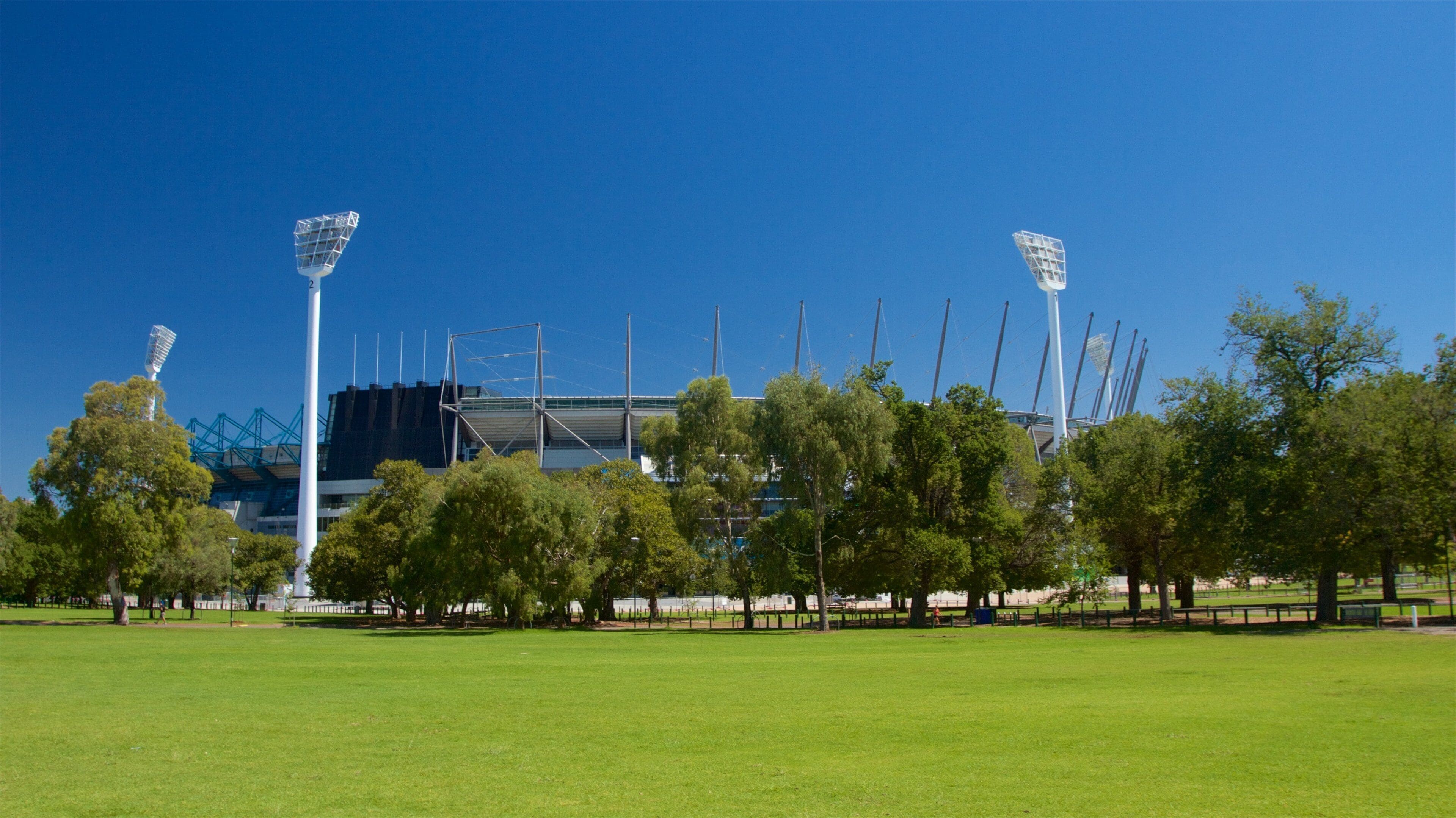 A stadium with floodlights, green grass, and trees.