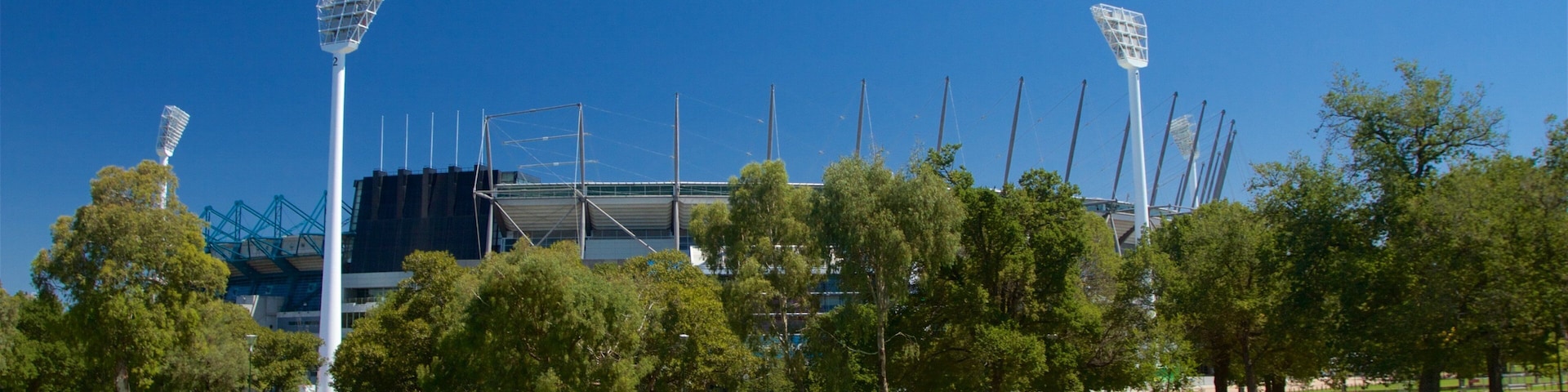 Un estadio con iluminación artificial, césped verde y árboles.