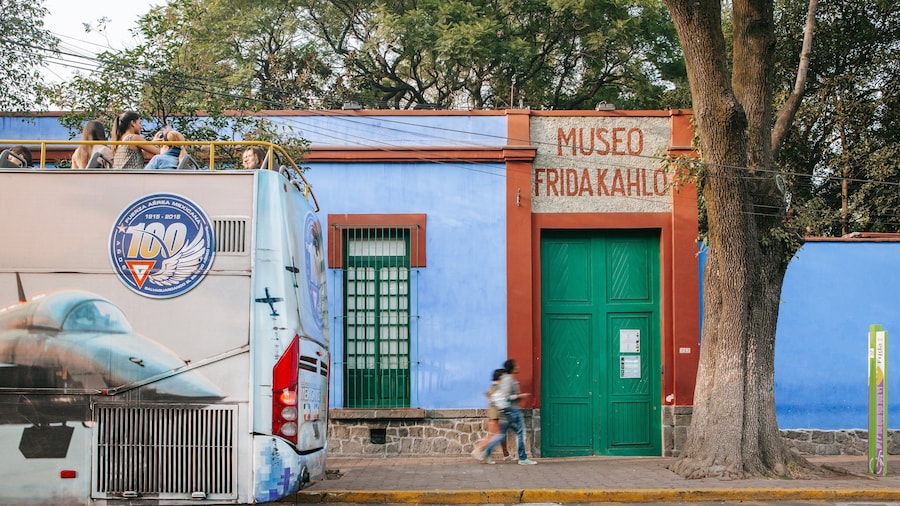 Frida Kahlo Museum showing street scenes
