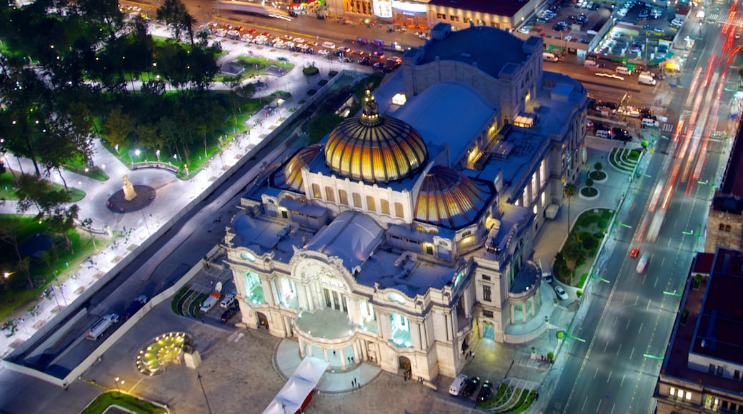國家美術宮 呈现出 遺跡建築, 城市 和 夜景