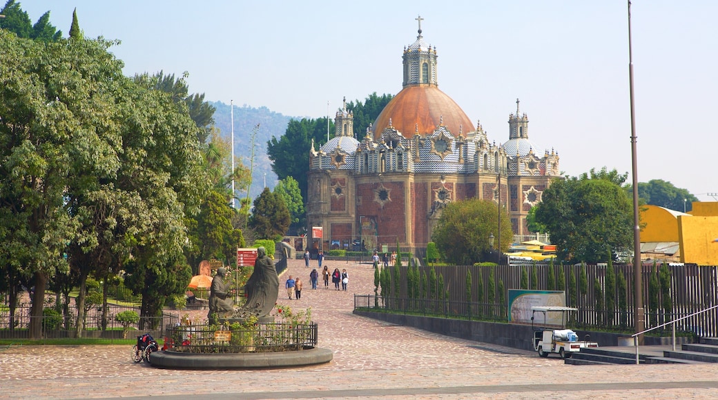 Basilica di Nostra Signora di Guadalupe che include chiesa o cattedrale, piazza e architettura d\'epoca