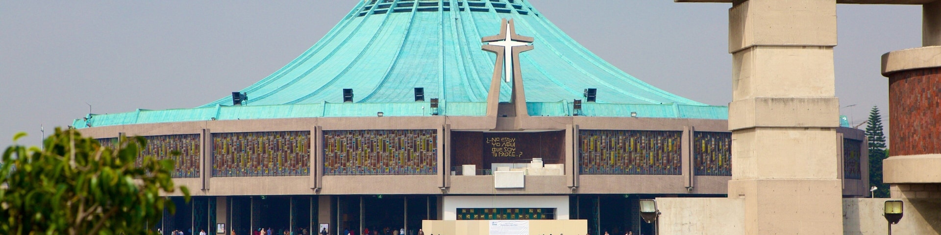 ๊ณผ๋ฌ๋ฃจํ ๋ฐ์ค๋ฆฌ์นด ์ฑ๋น ์ ํน์ง ๋์ ๋๋ ์กฐ๊ฐ์, ๊ด์ฅ ๊ณผ ๊ตํ ๋๋ ์ฑ๋น