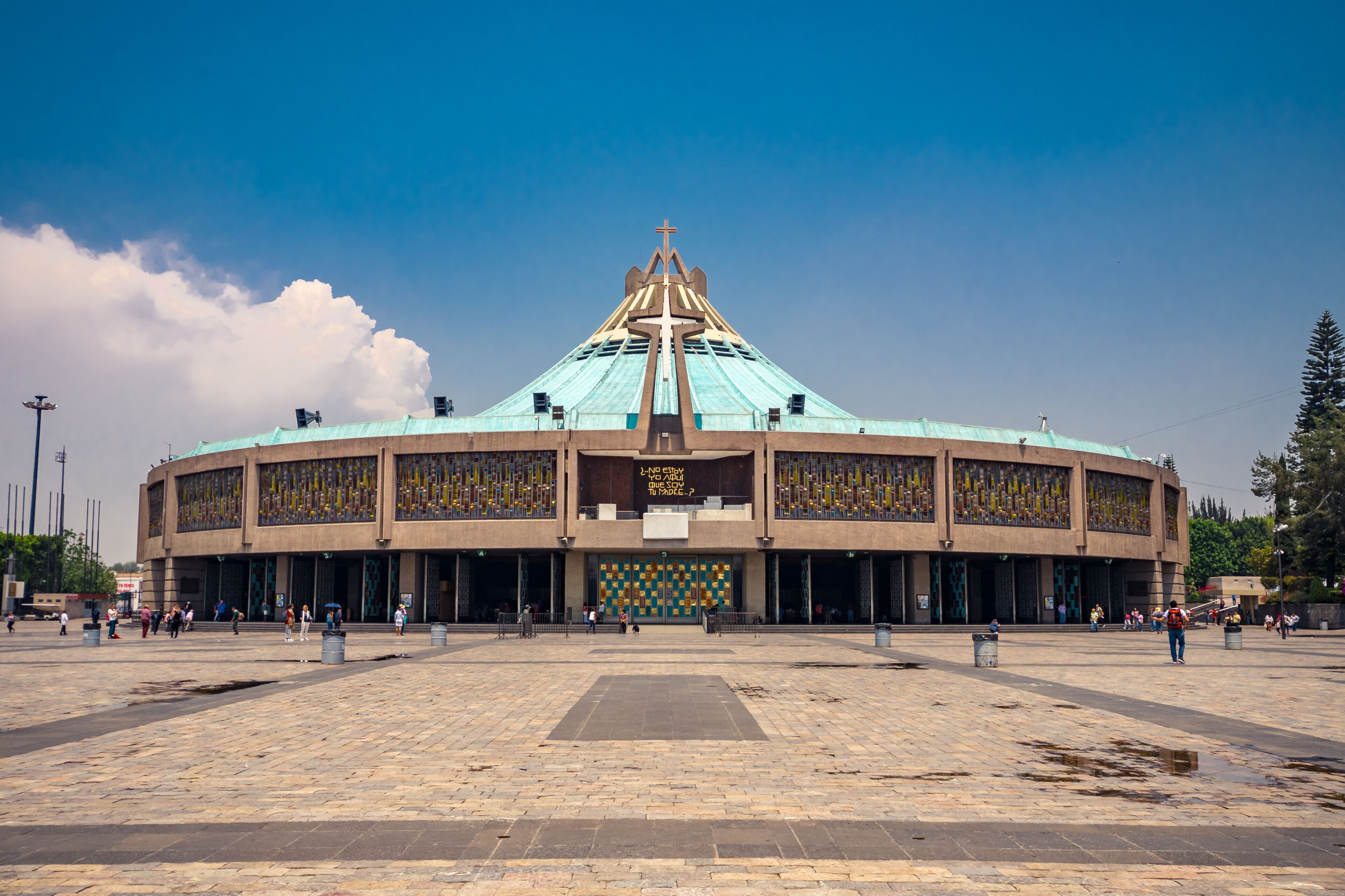 guadalupe basilic in mexico city