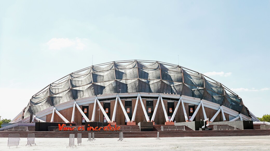 Palacio de los Deportes