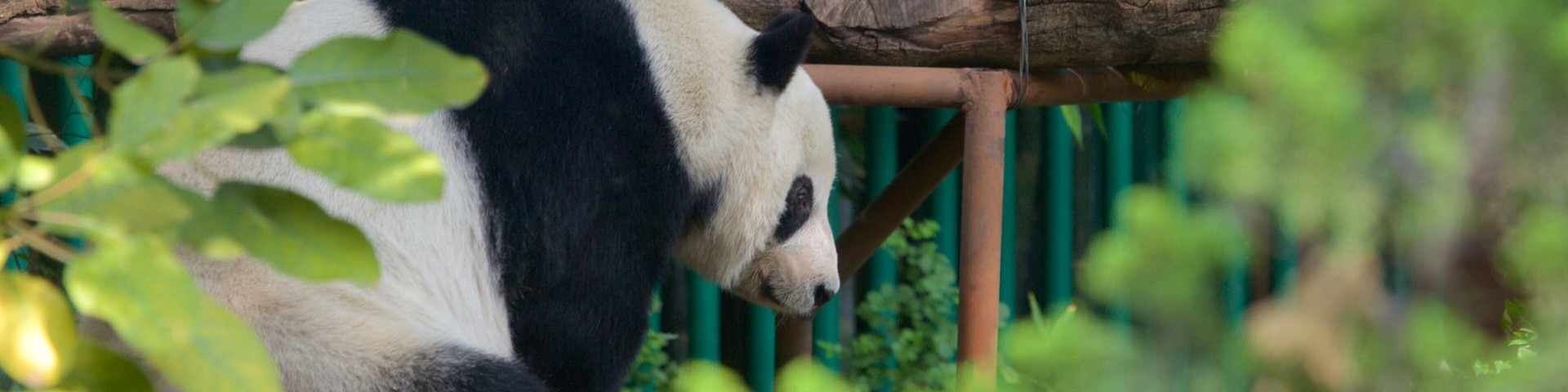 查普尔特佩克动物园