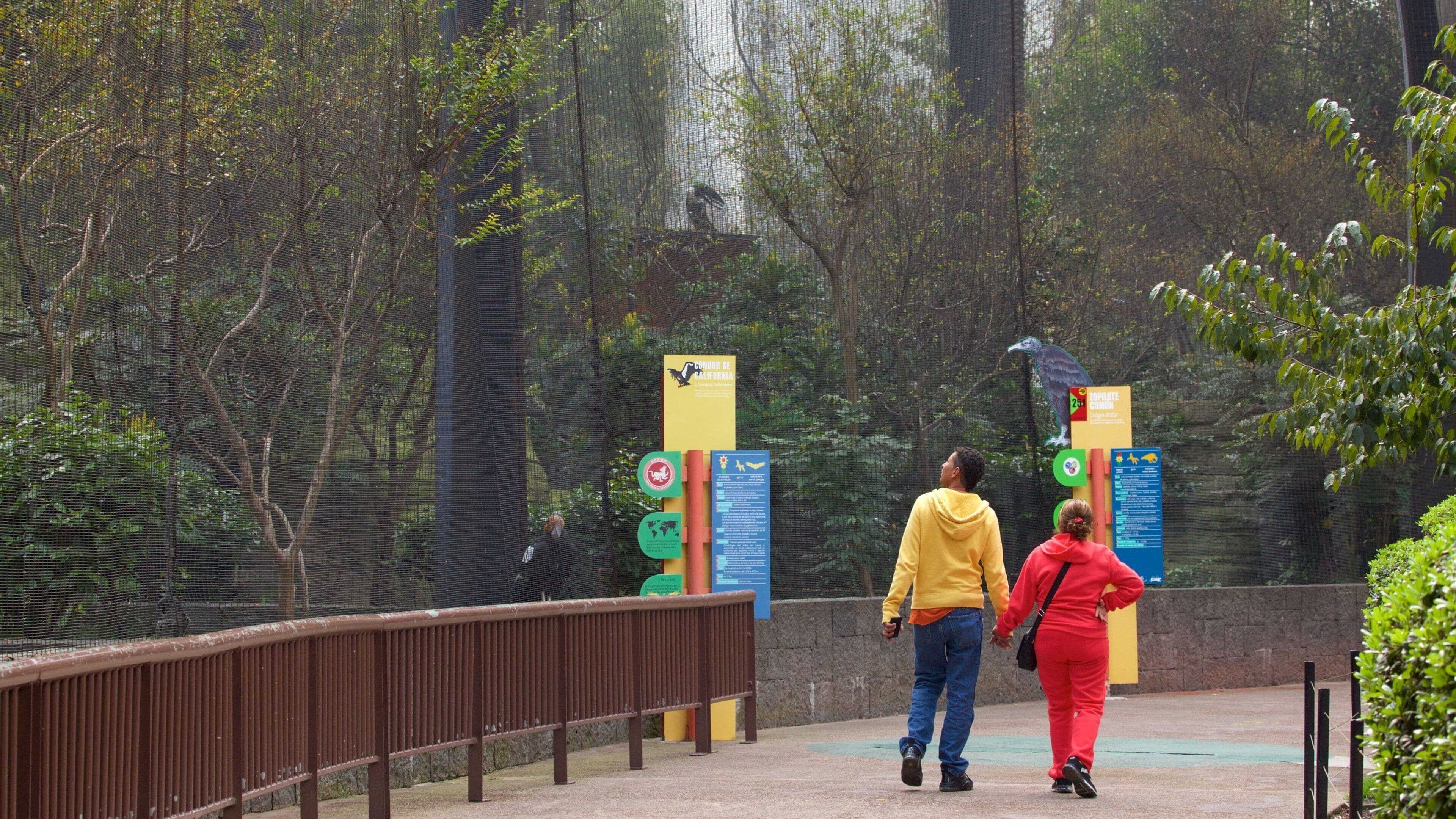 Parc zoologique de Chapultepec montrant animaux de zoo aussi bien que couple