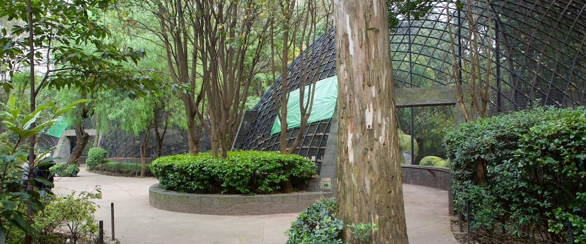 Parque Zoologico de Chapultepec showing a park and zoo animals