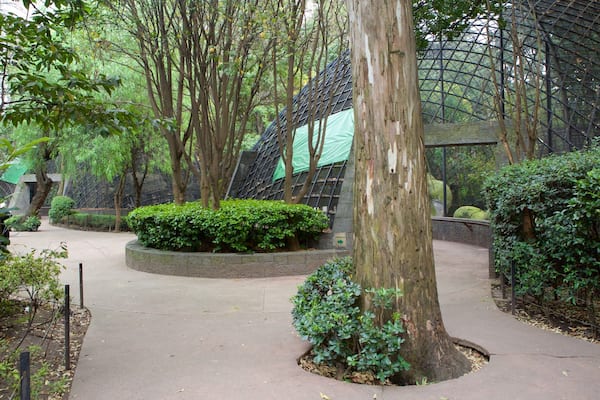 Parque ZoolĂłgico de Chapultepec welches beinhaltet Zootiere und Garten